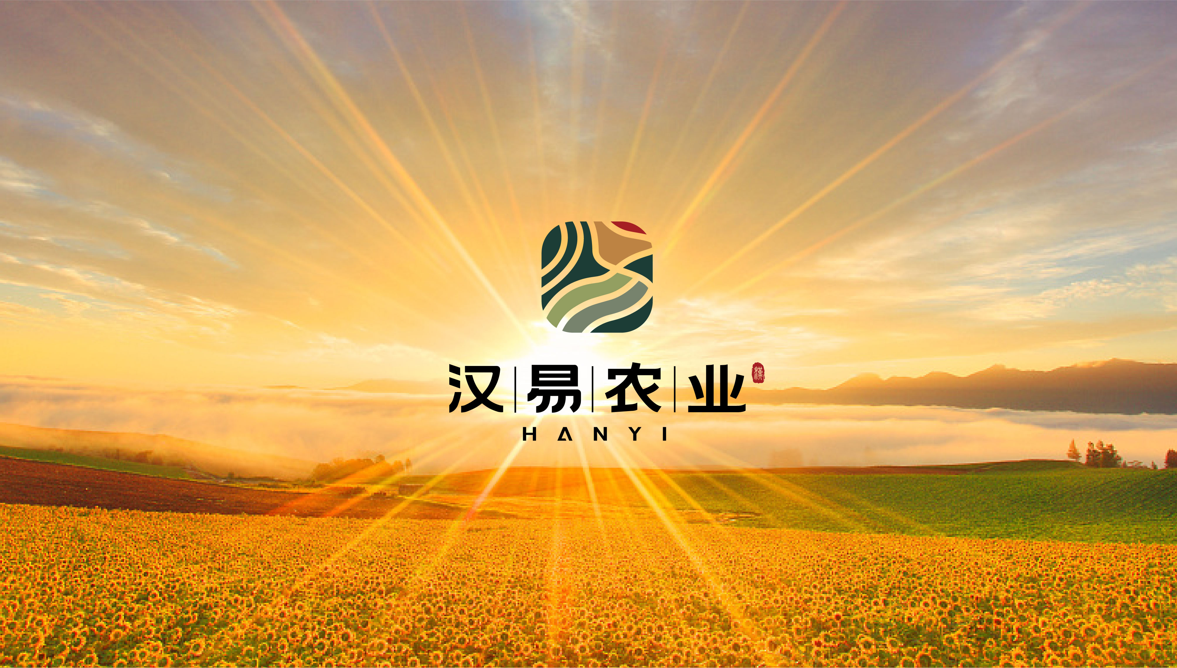 漢易農(nóng)業(yè)LOGO原創(chuàng)設(shè)計提案二&圭谷品牌-09