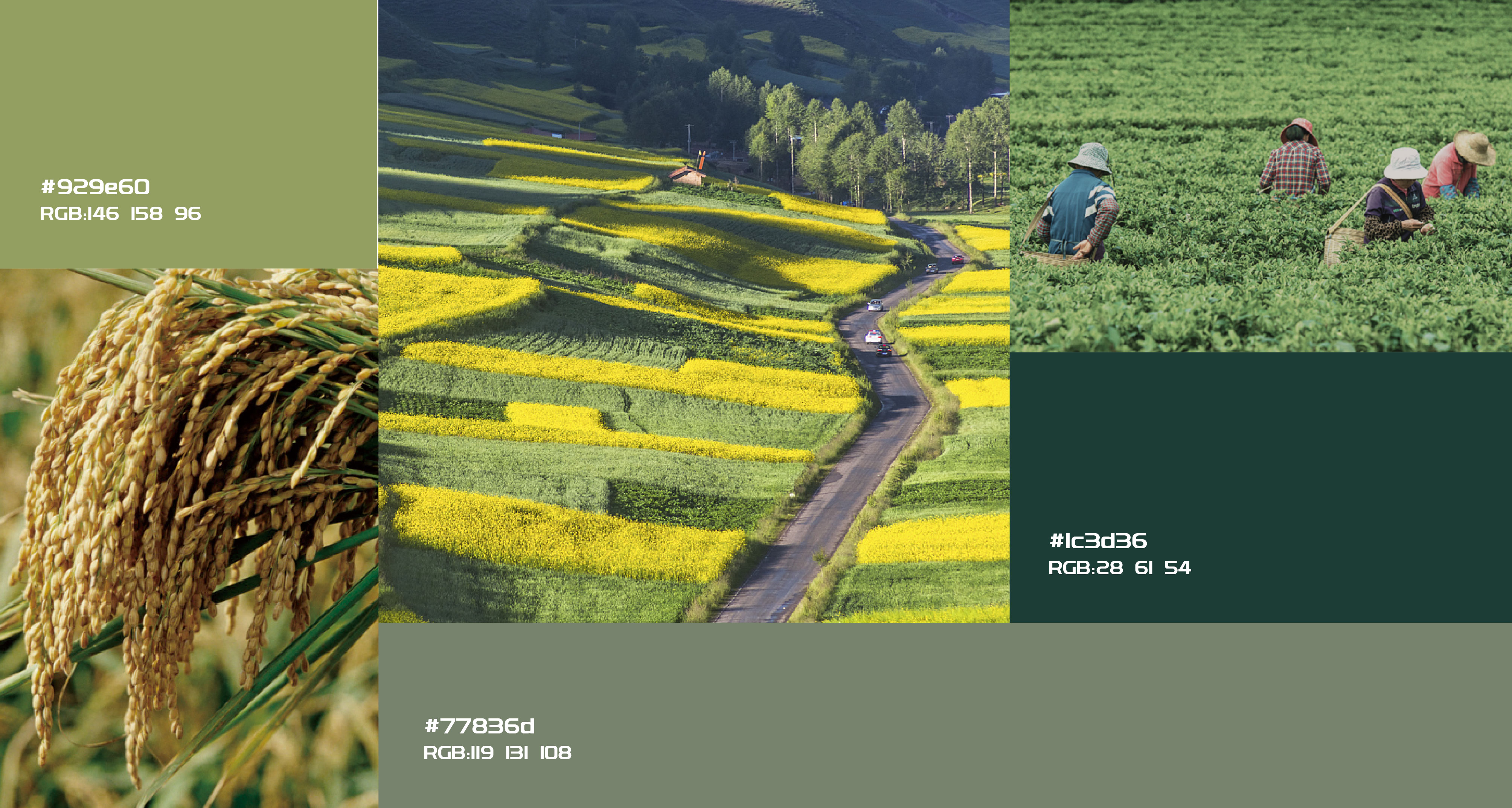 漢易農(nóng)業(yè)LOGO原創(chuàng)設(shè)計提案二&圭谷品牌-11