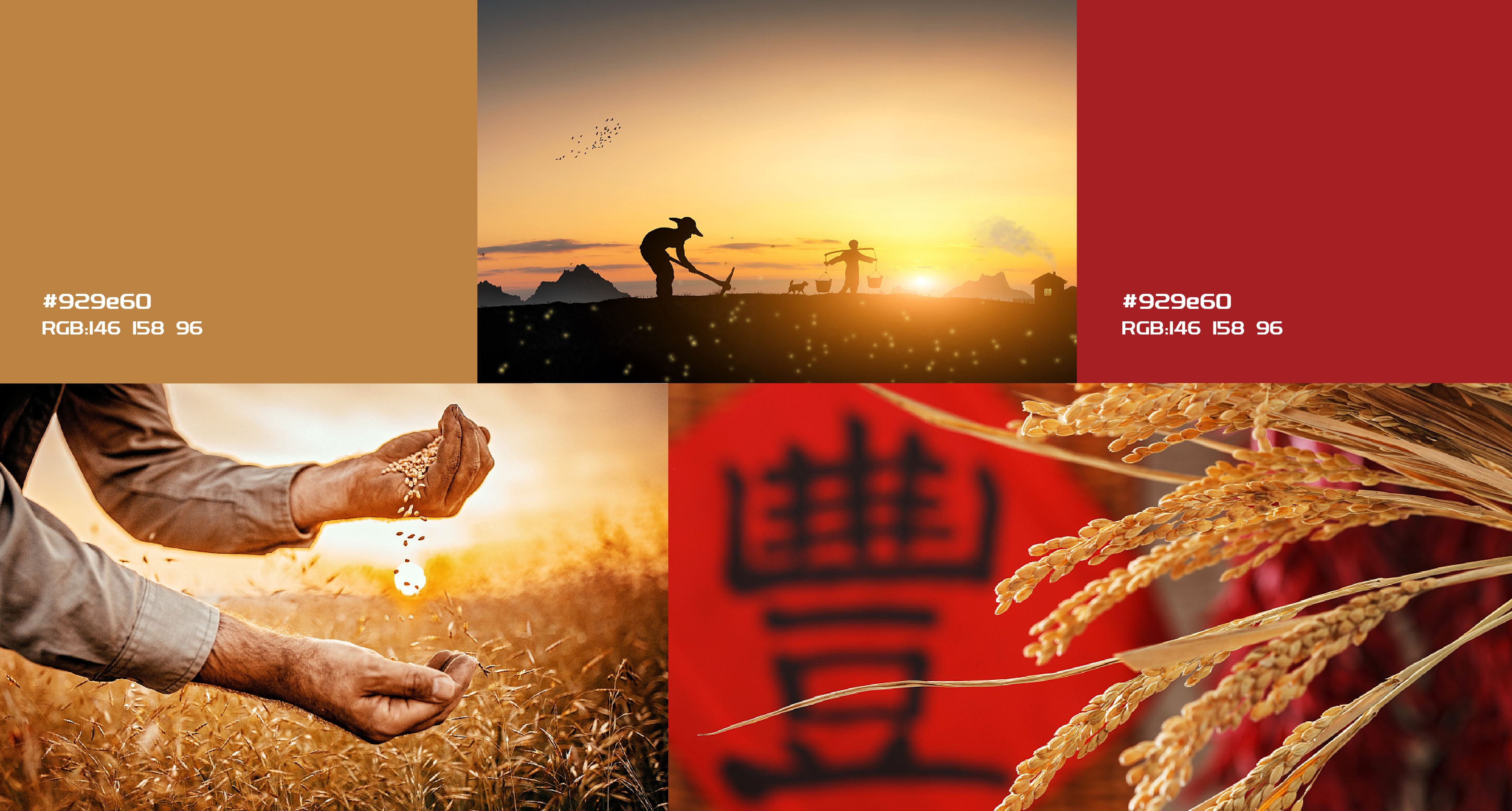 漢易農(nóng)業(yè)LOGO原創(chuàng)設(shè)計提案二&圭谷品牌-12