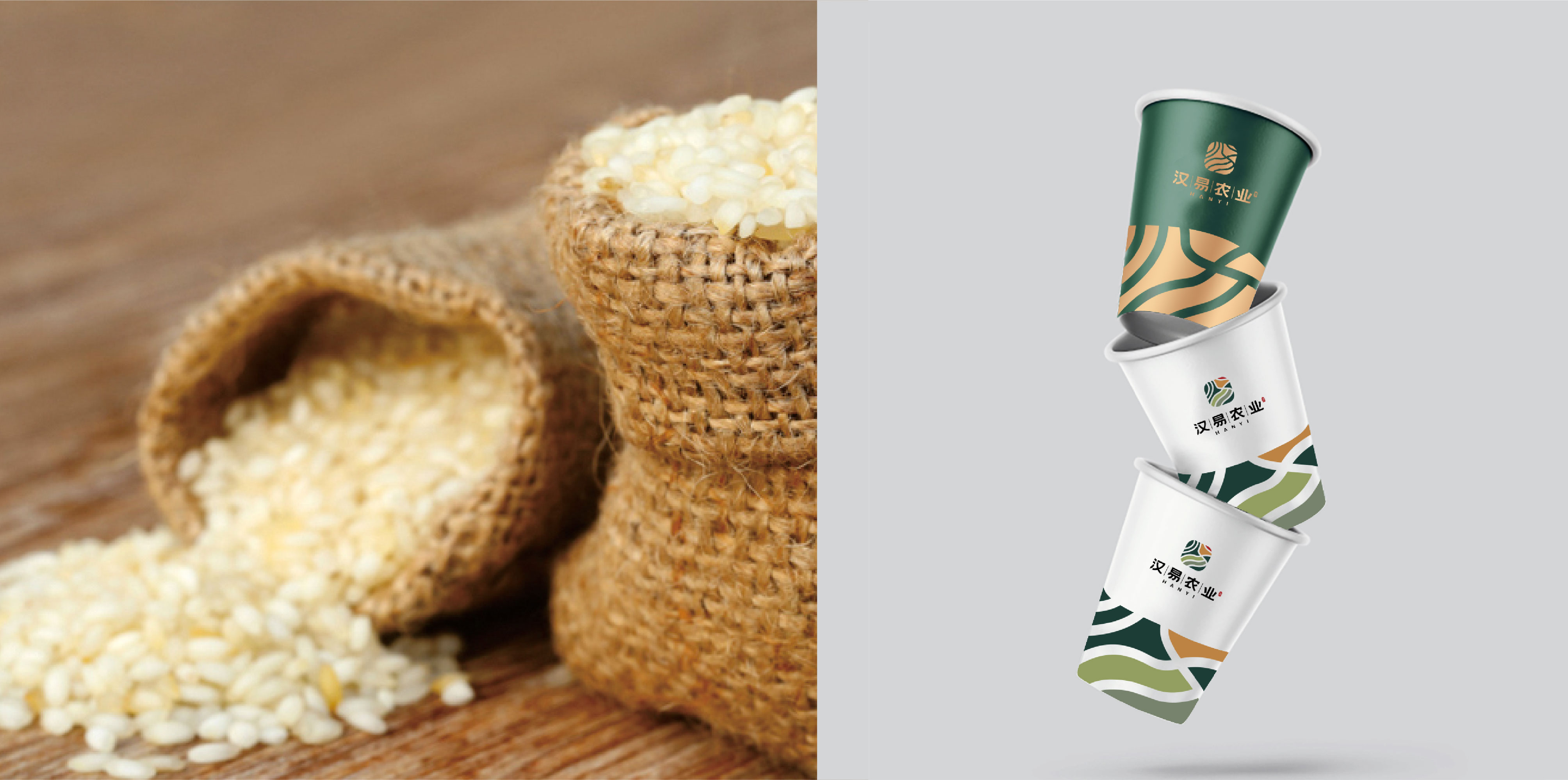 漢易農(nóng)業(yè)LOGO原創(chuàng)設(shè)計提案二&圭谷品牌-14