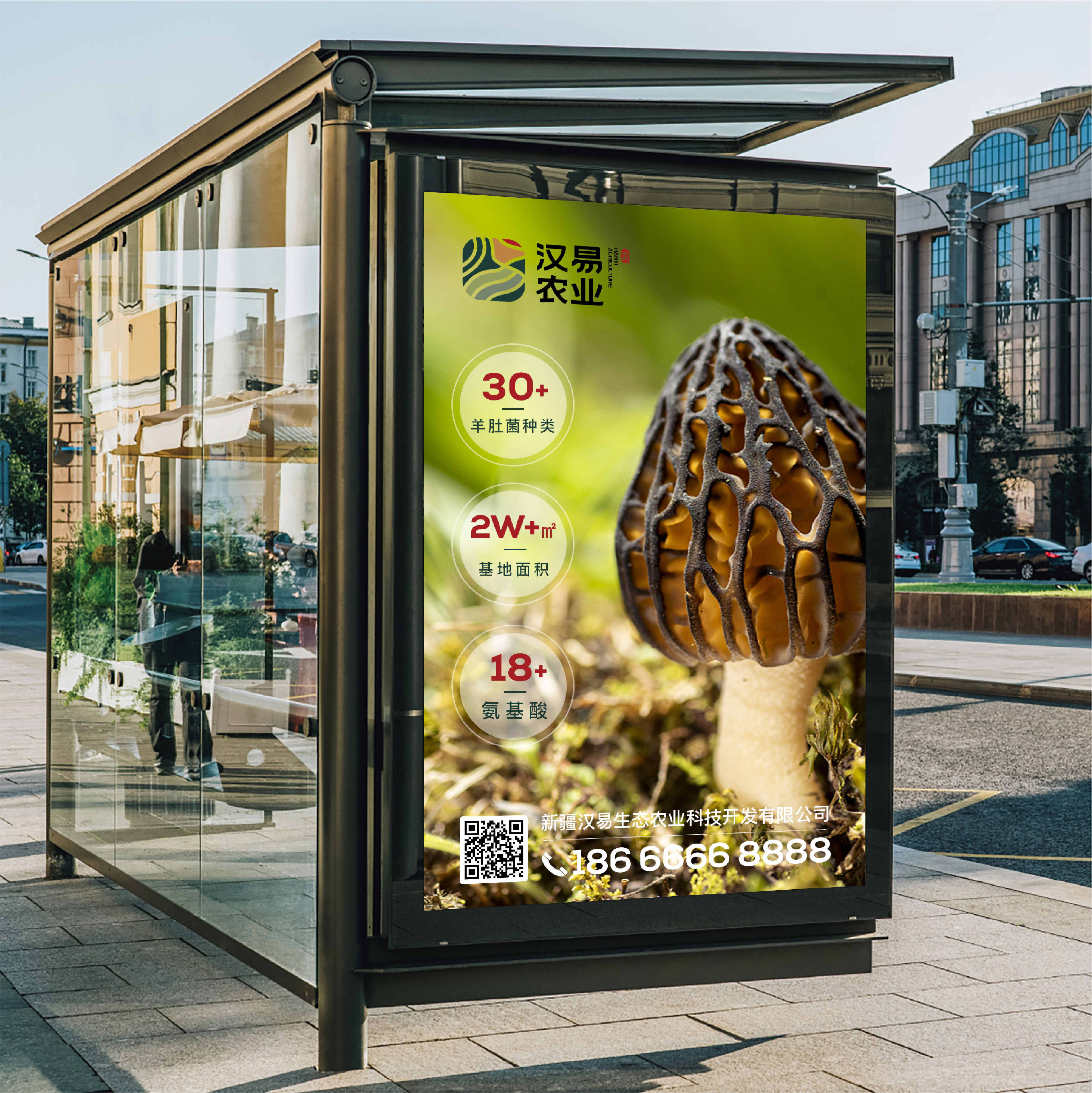 漢易農(nóng)業(yè)LOGO原創(chuàng)設(shè)計提案二&圭谷品牌-18_副本